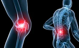 Всё о здоровых суставах и здоровом связочном аппарате