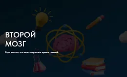 Второй мозг. Курс для тех, кто хочет научиться думать головой