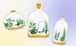 Введение в Биоарт logo