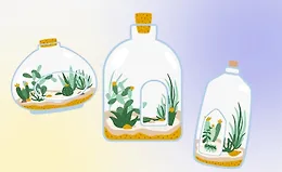 Введение в Биоарт