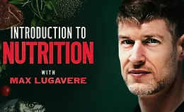 Введение в питание