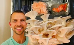 Выращивание грибов в помещении для бизнеса и удовольствия.