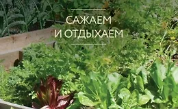 Высокие грядки. Сажаем и отдыхаем
