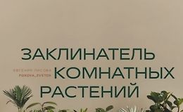 Заклинатель комнатных растений. Секретные лайфхаки logo