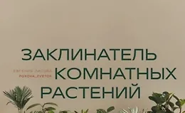 Заклинатель комнатных растений. Секретные лайфхаки
