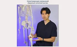 Здоровый коленный сустав