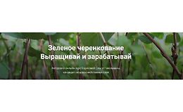 Зеленое черенкование. Выращивай и зарабатывай logo