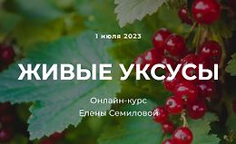 Живые уксусы logo