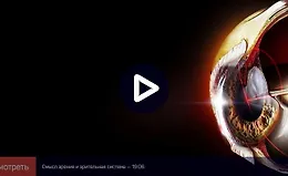 Зрительное восприятие: от физиологии к образу