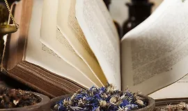 100 главных трав Руси