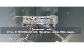 7 фасциальных депо: детальное рассмотрение связи приводящих мышц с тазовым дном