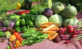 7 шагов к богатому урожаю