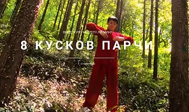 8 Кусков Парчи