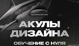 Акулы дизайна, обучение с нуля logo