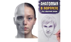 Анатомия в портрете. Базис logo