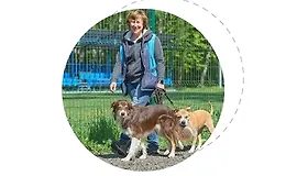 Базовая подготовка к воспитанию и дрессировке собаки