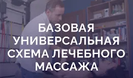 Базовая универсальная схема лечебного массажа