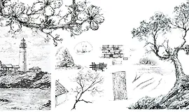 Базовый курс графики. Основы