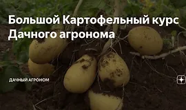 Большой Картофельный курс