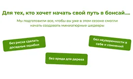 Бонсай своими руками 