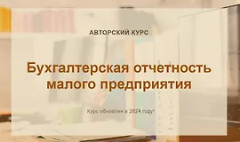 Бухгалтерская отчетность малого предприятия