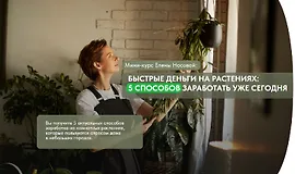 Быстрые деньги на растениях: 5 способов заработать уже сегодня