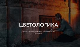  Цветологика logo