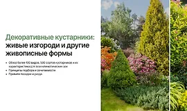 Декоративные кустарники: Живые изгороди и другие живописные формы
