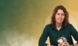 Детская психология logo