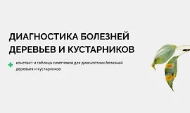 Диагностика болезней деревьев и кустарников