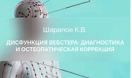 Дисфункция Вебстера: диагностика и остеопатическая коррекция