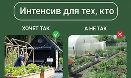 Дизайн современного огорода