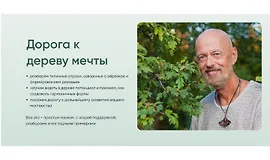 Дорога к дереву мечты