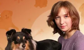 Дрессировка собак