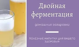Двойная ферментация, домашние газировки