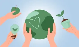 Экологичный образ жизни. Правила и принципы