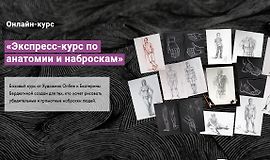 Экспресс-курс по анатомии и наброскам logo