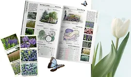 Электронный альбом цветочных композиций. 1 часть