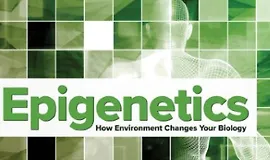 Эпигенетика: как окружающая среда меняет вашу биологию