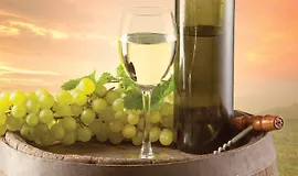 Руководство по винам Калифорнии на каждый день