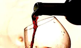 Руководство по вину на каждый день