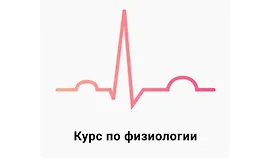 Физиология