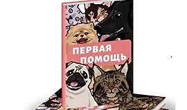 Гайд «Первая помощь питомцу»