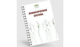 Гайд по работе с лимфой