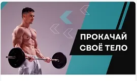 Гайд по тренажерному залу