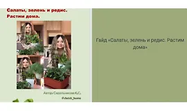 Гайд Салаты, зелень и редис. Растим дома