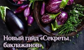 Гайд «Секреты баклажанов» logo