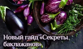 Гайд «Секреты баклажанов»