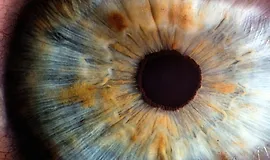 Гимнастика для глаз и концентрации