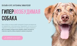 Гипервозбудимая собака